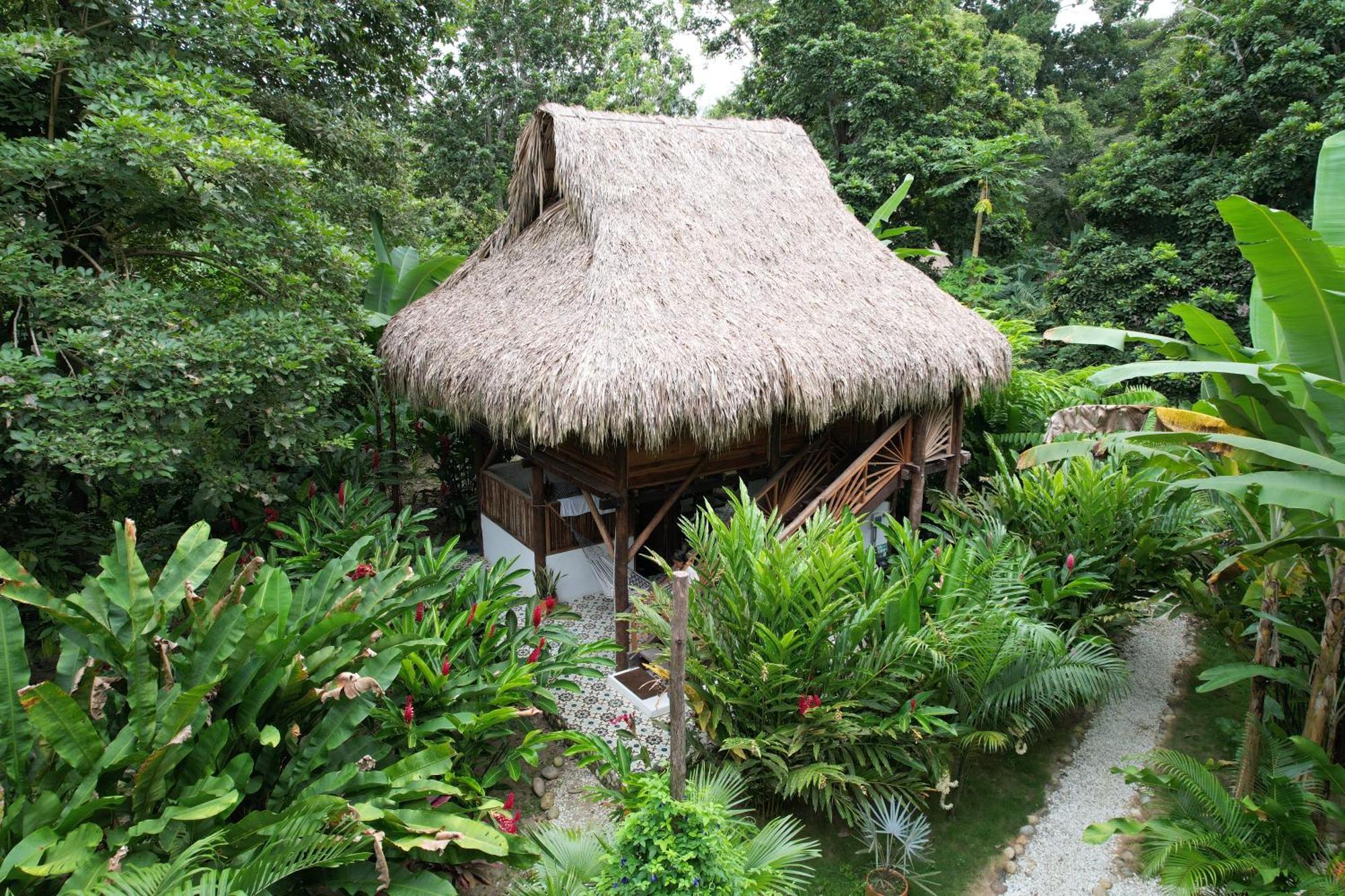 Salvia Madre Villa
