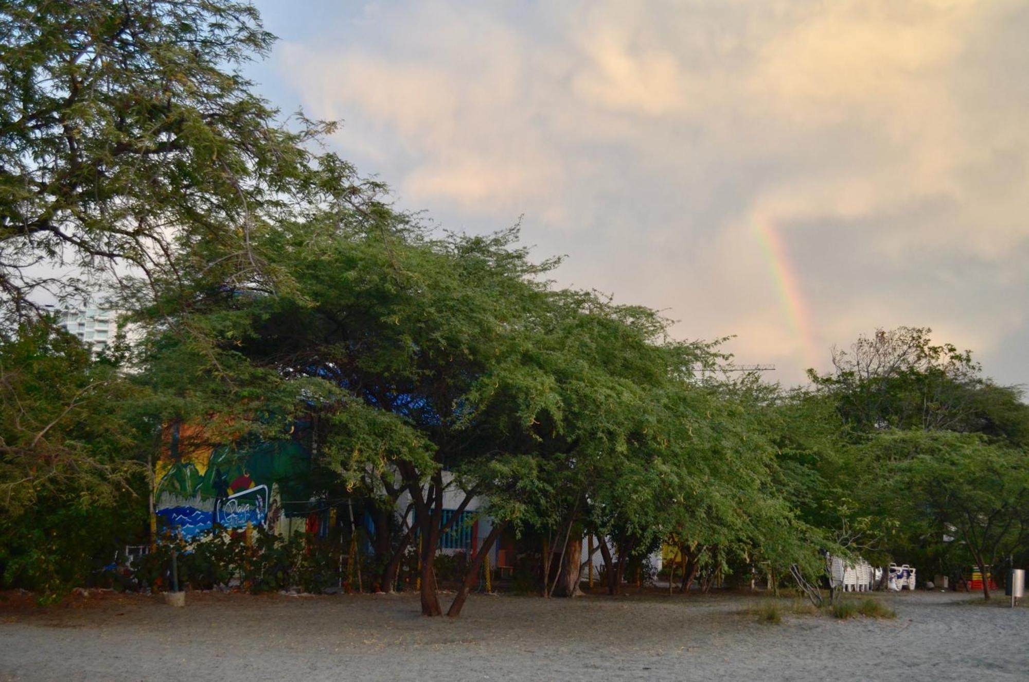 Hostal Playa Del Ritmo Hostel&bar