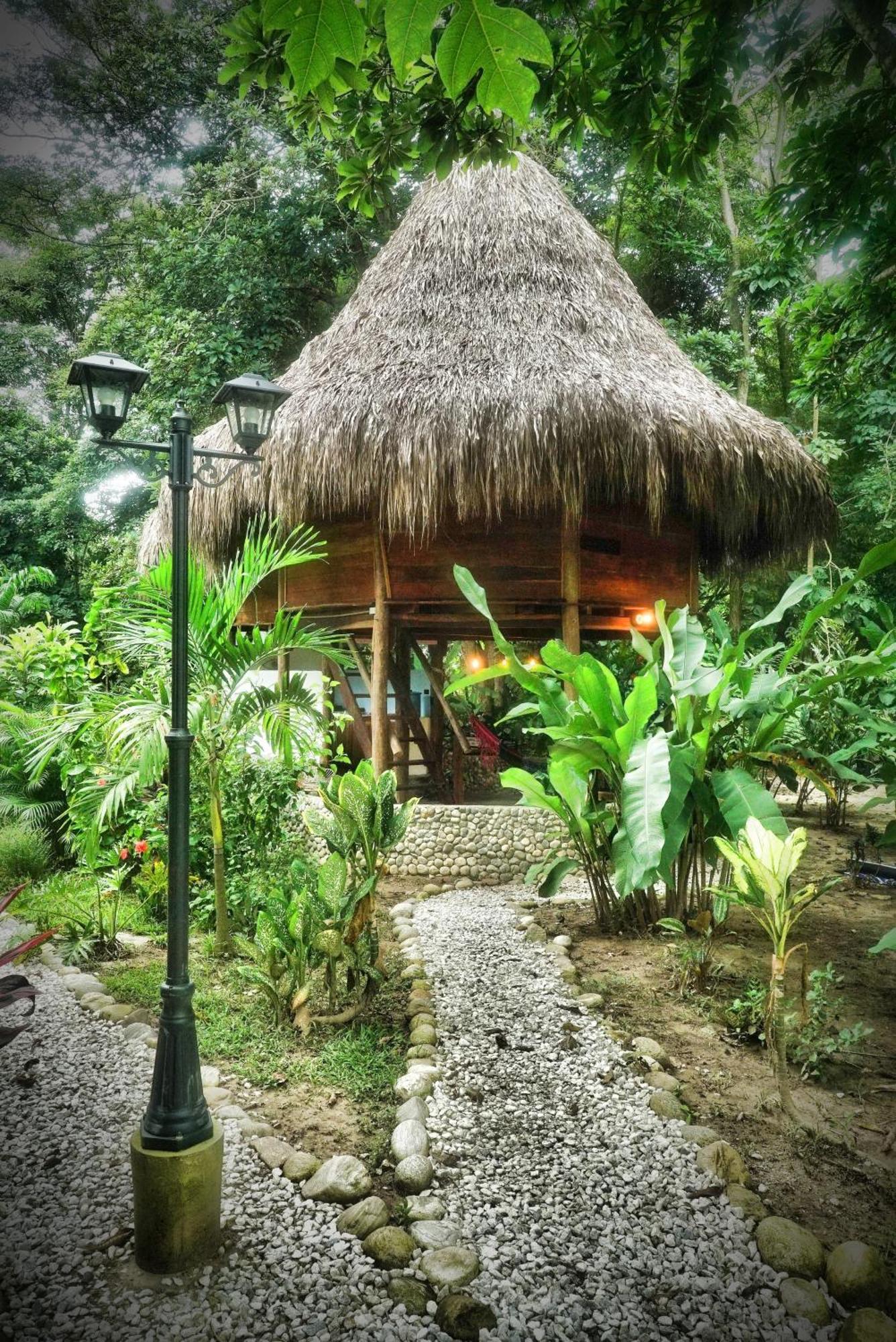 Salvia Madre Villa *