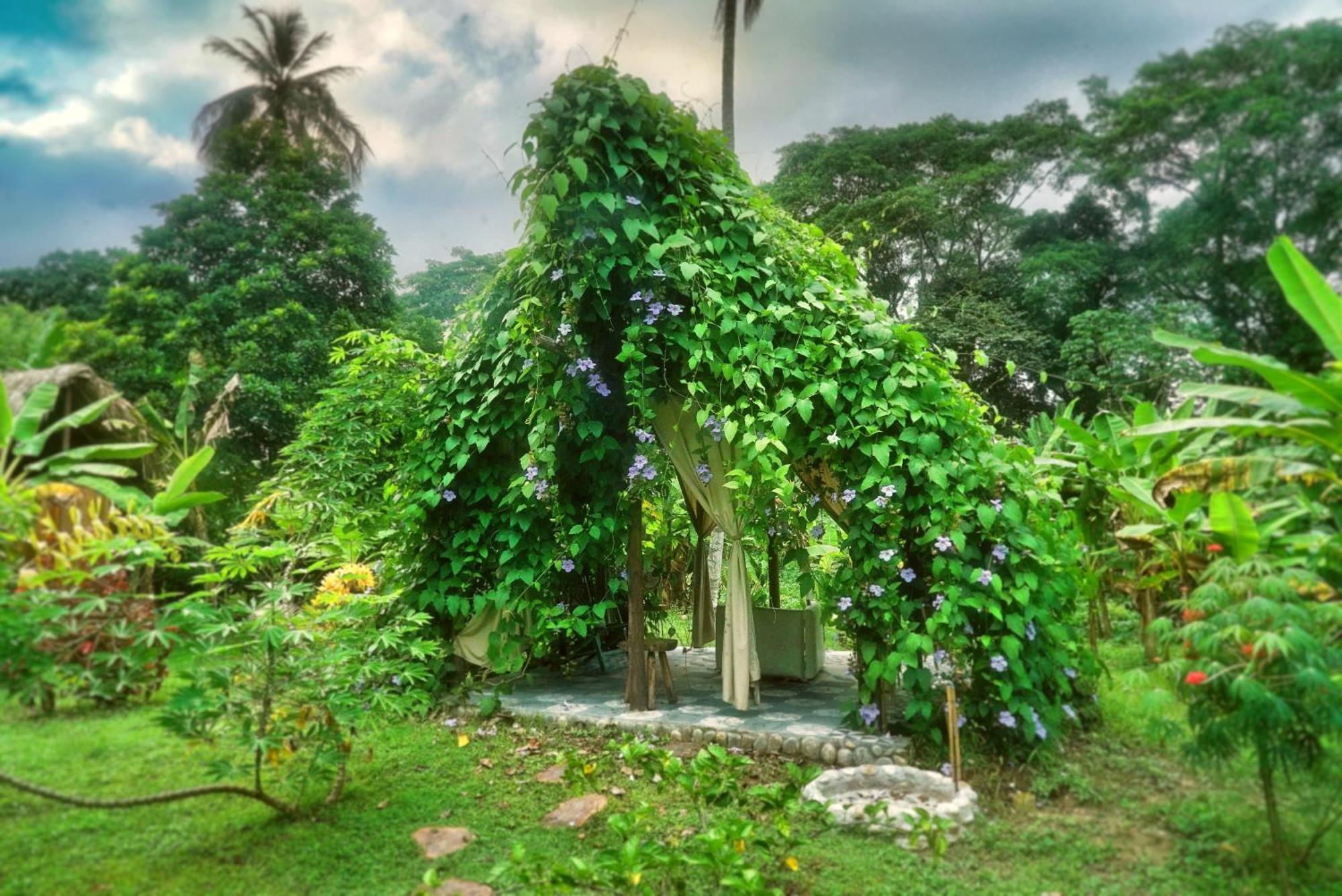 Salvia Madre Villa