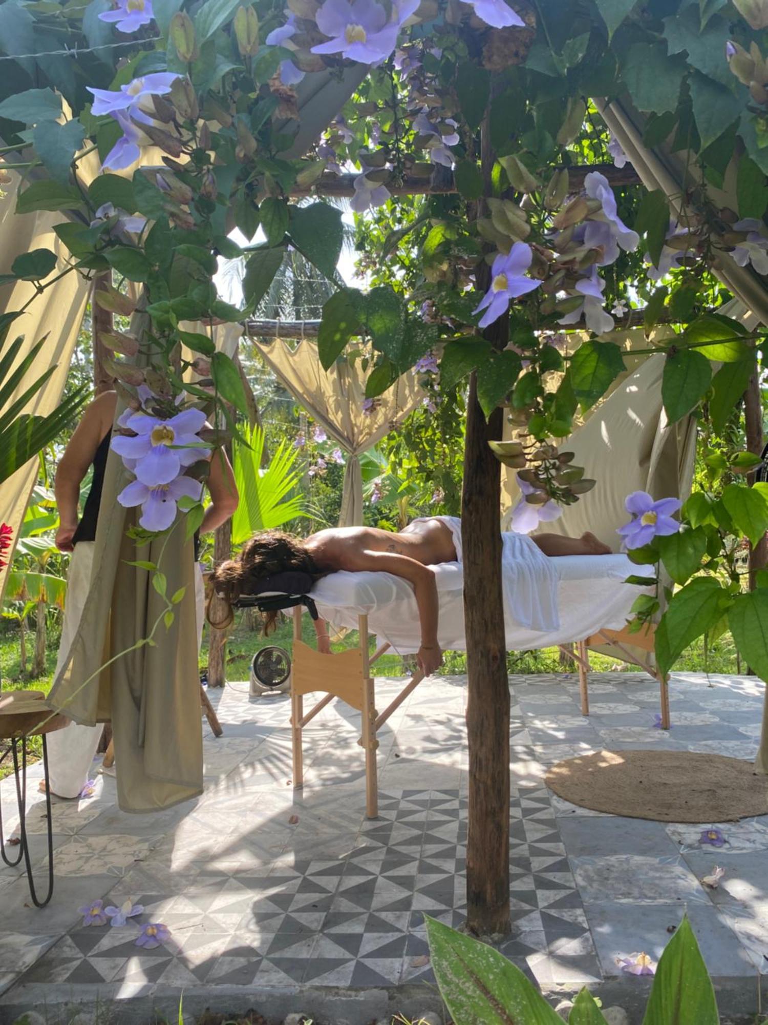 Salvia Madre Villa *