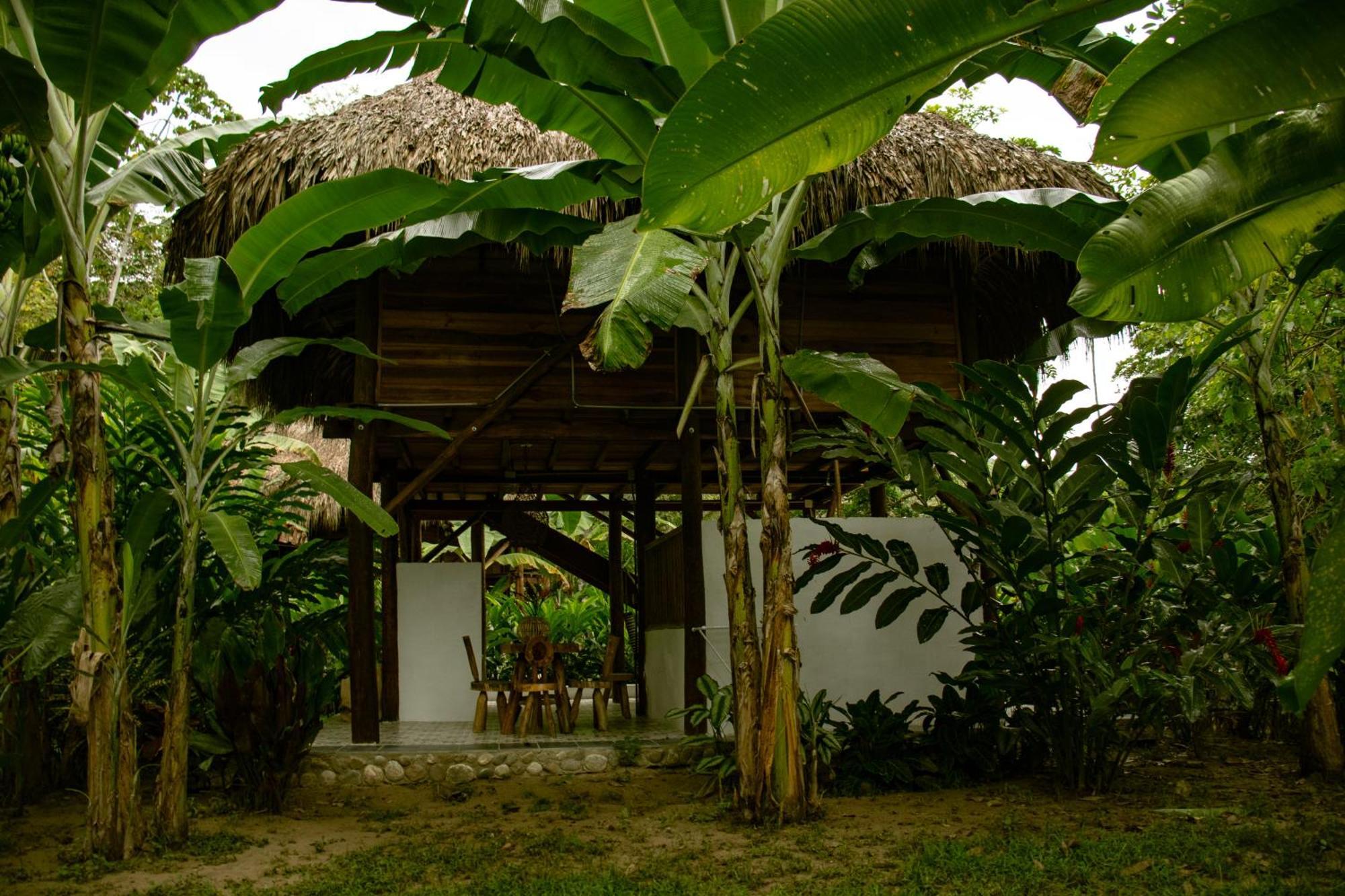 Villa Salvia Madre *