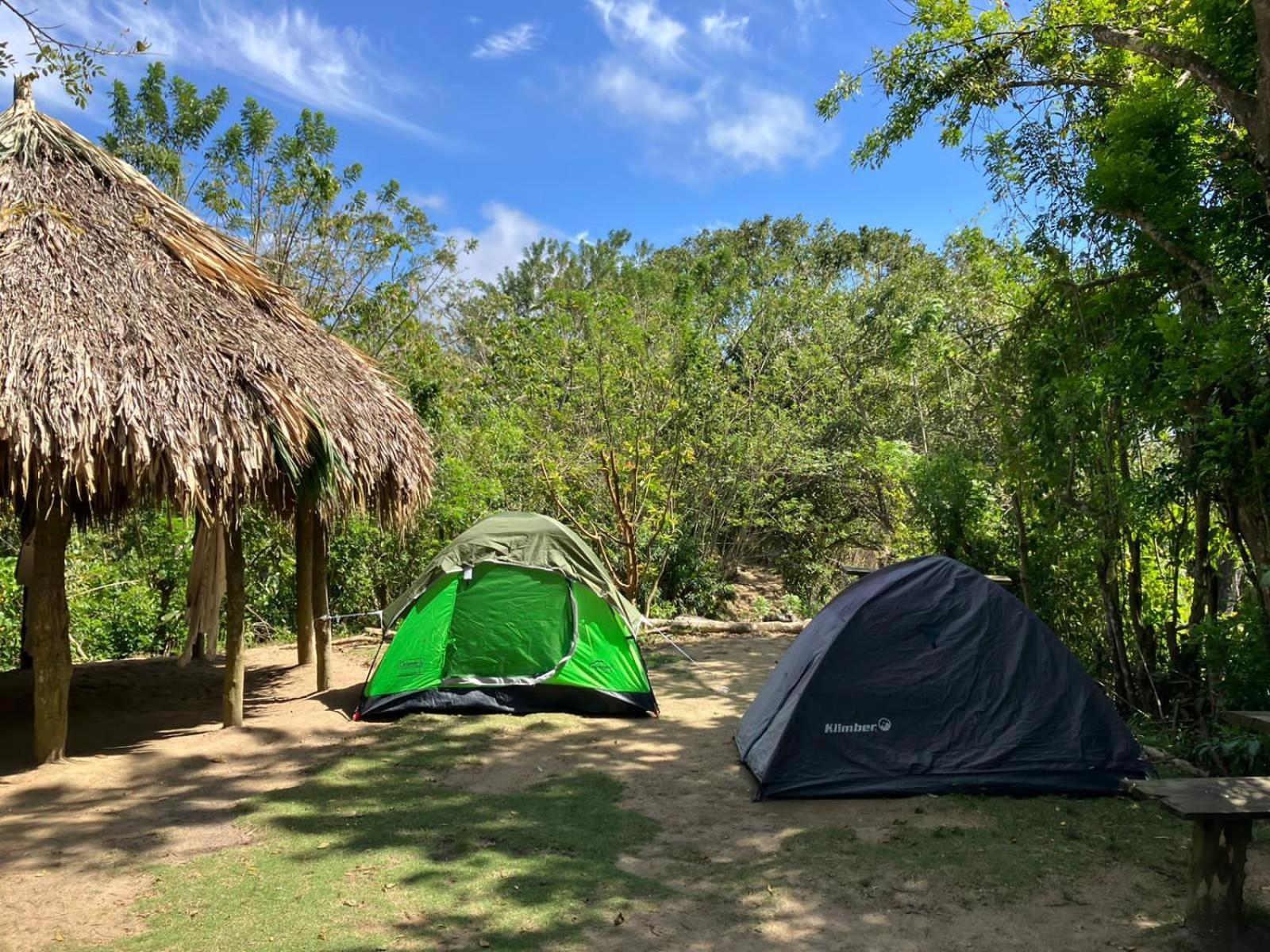 La Cima Tayrona Luxury tent *