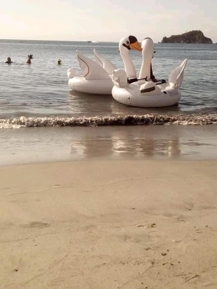 Casa Javi Rodadero * Santa Marta (Magdalena)