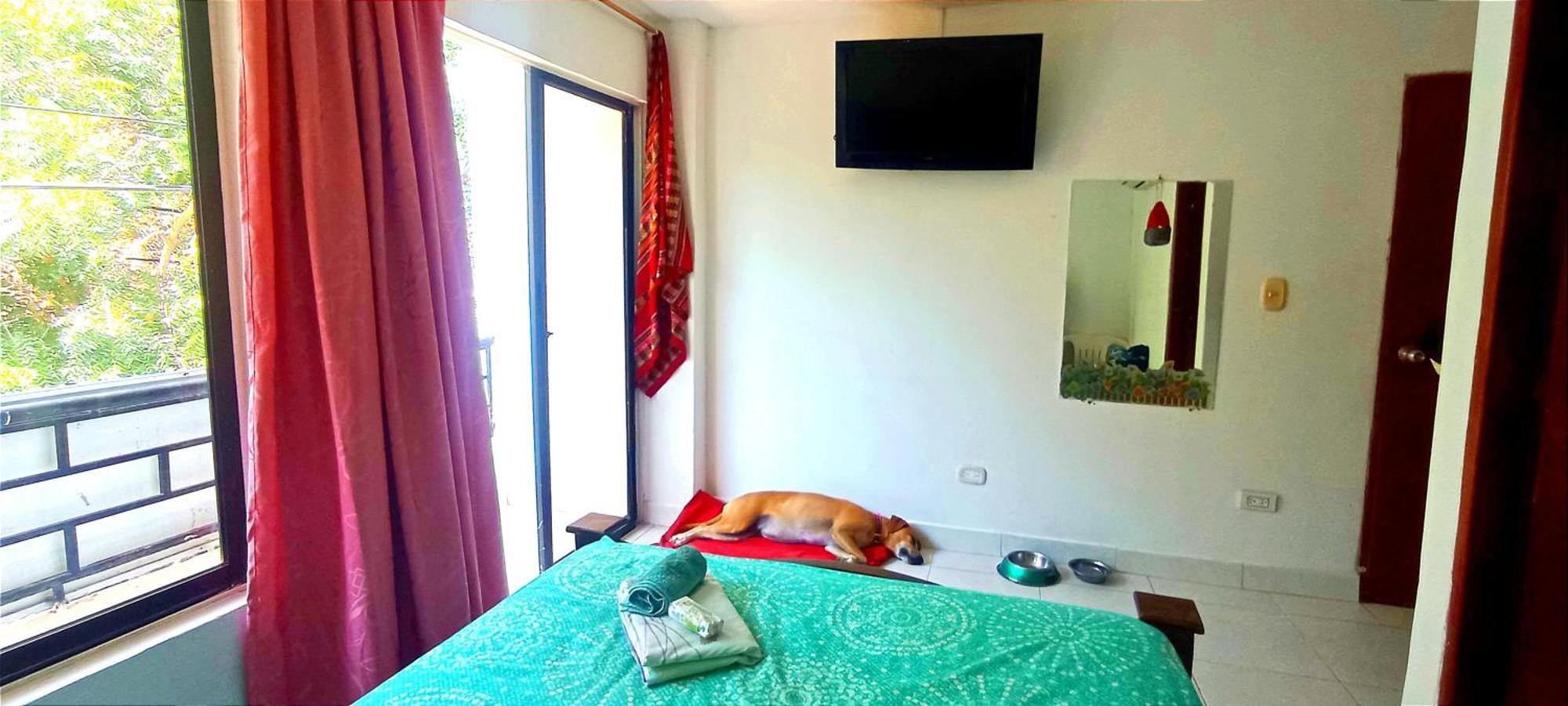 Guest house Don Miguel