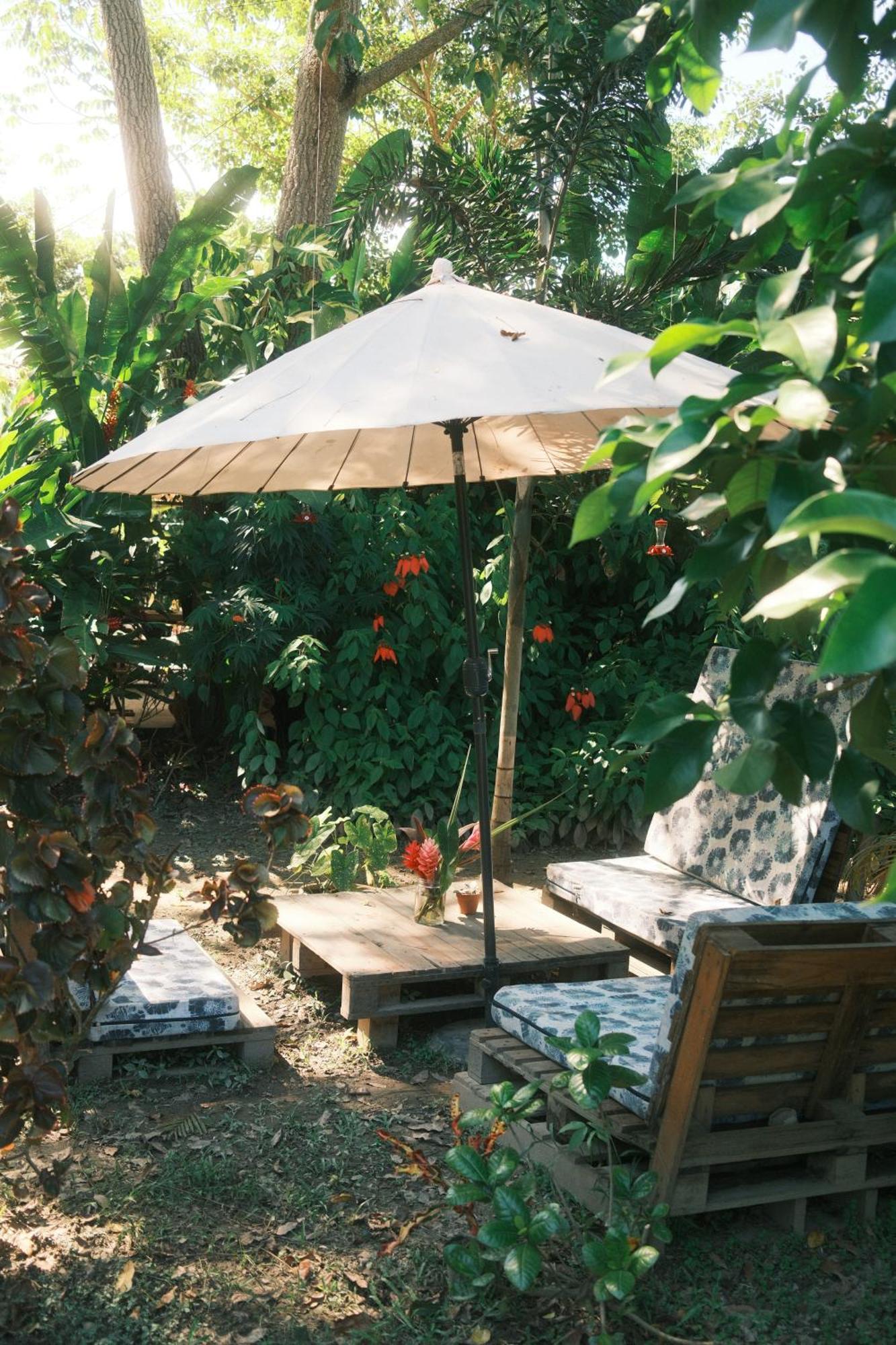 Salvia Madre Villa Santa Marta (Magdalena)