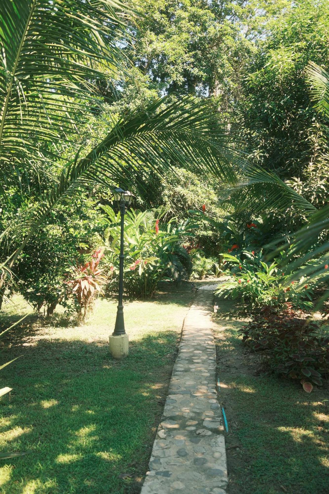 Salvia Madre Villa Santa Marta (Magdalena)
