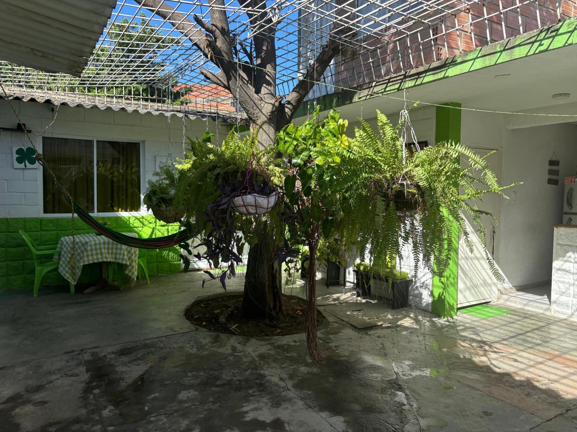 Casa Universitaria El Trebol Guest house
