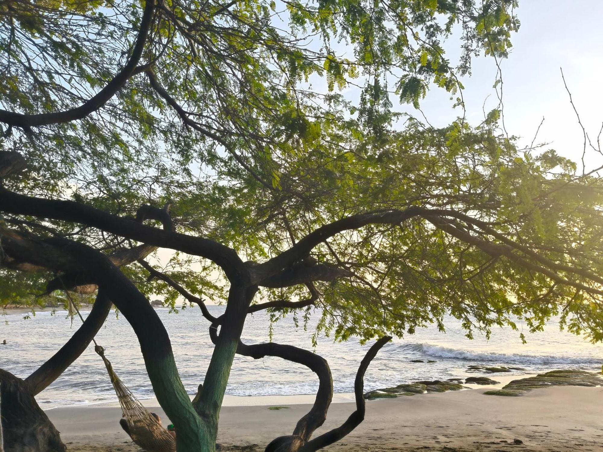 De Playa Dormida * Santa Marta (Magdalena)