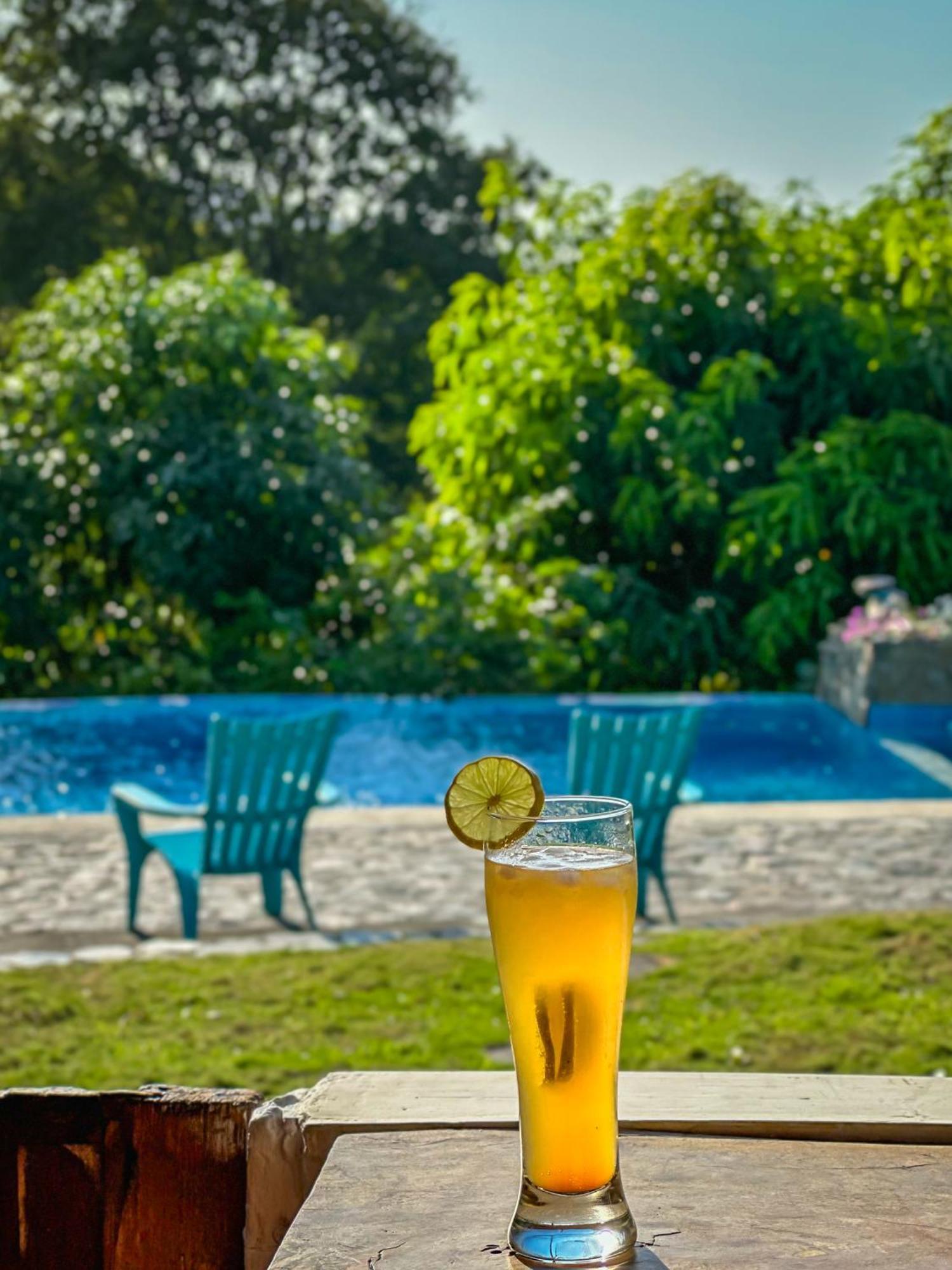Afra Reserva Natural Apartment *