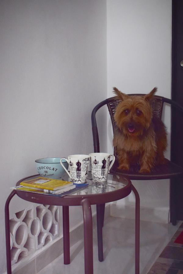 Guest house Loft Bahia Linda