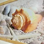 Caribbean Venture Apto 803 - Rodadero, Santa Marta