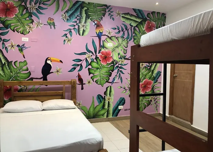 Casa Nuba Eco Hostel