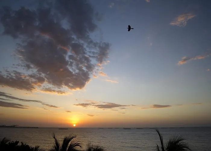 Apartamento Con Playa Privada Y Piscina