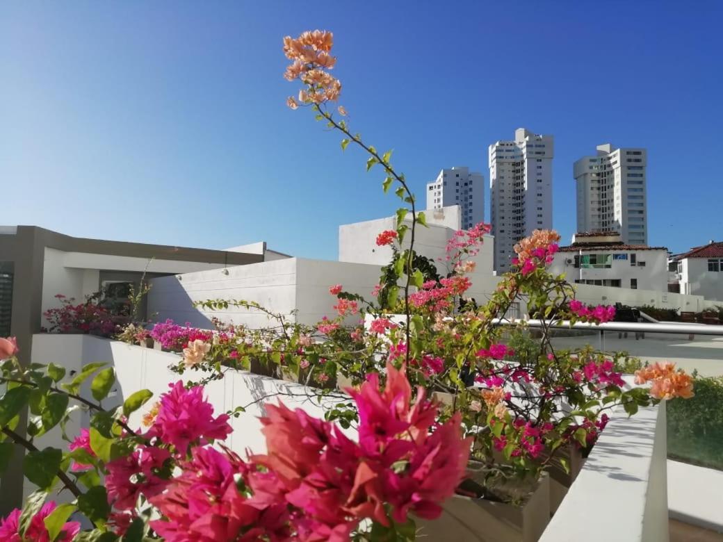 Apartment Rodadero Sur Edificio Aragoa A 150 Metros Del Mar