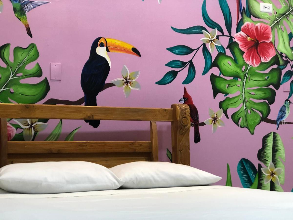 Casa Nuba Eco