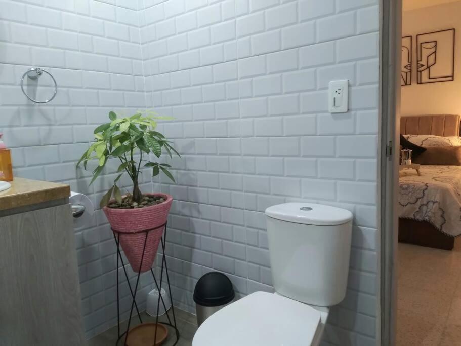 Apartamento Heliconia Wagneriana - Flor De La Perla *