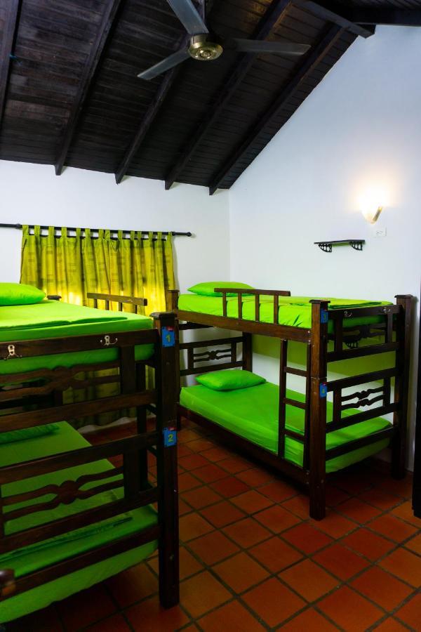 Dreamer Hostal