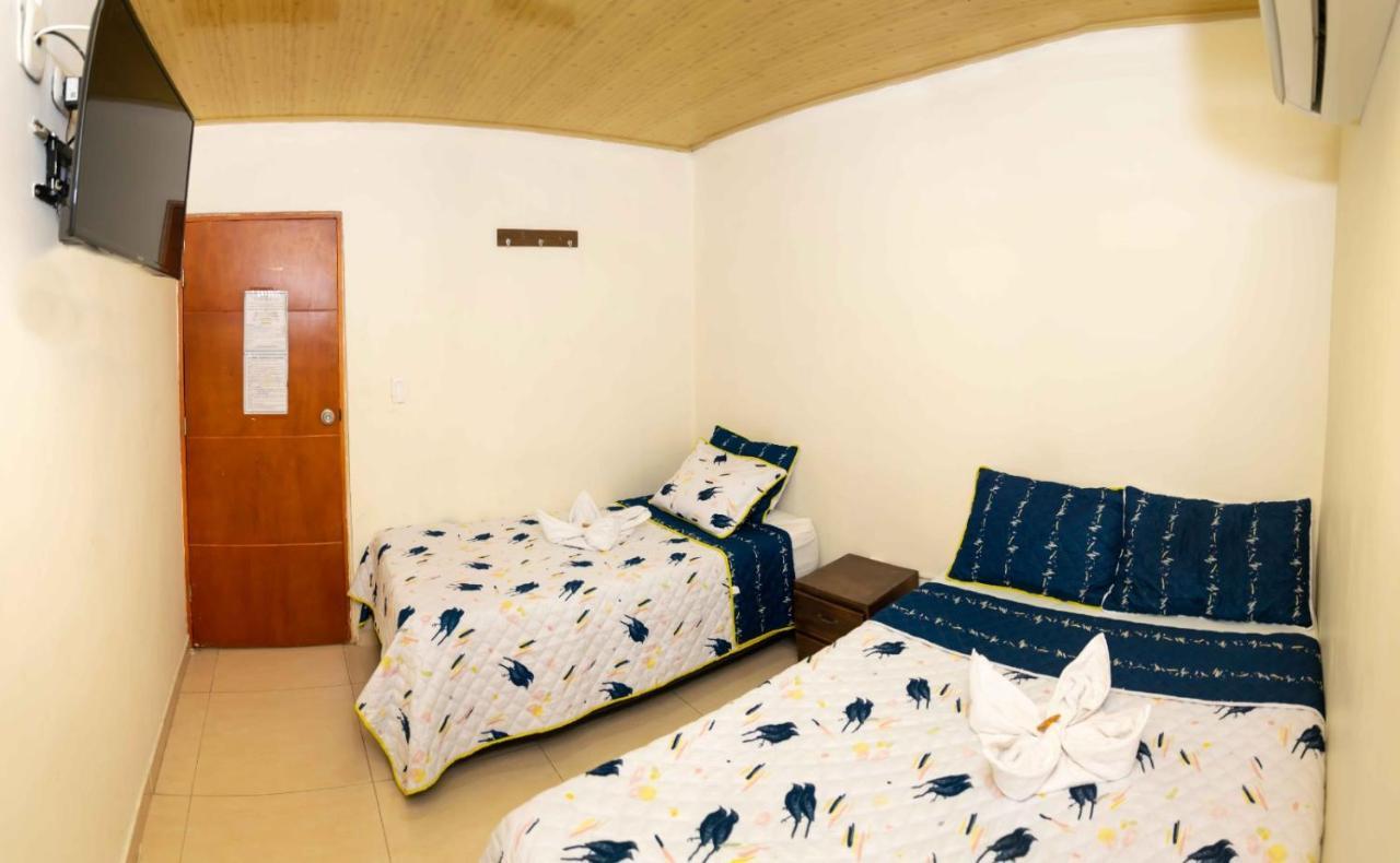 Hotel The Dolphin