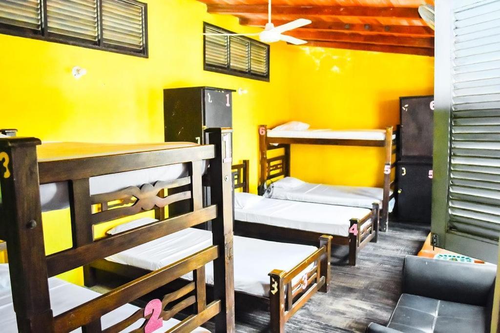Dumaruka Santa Marta (Magdalena)