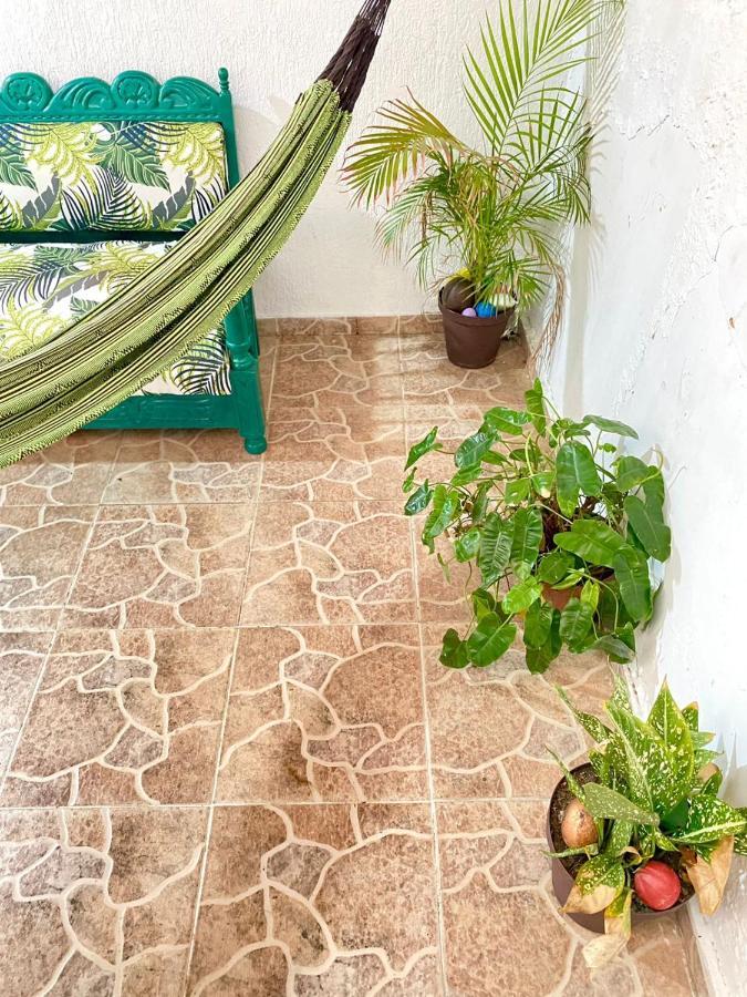 Aurelia Compartida 2025 Bed & Breakfast