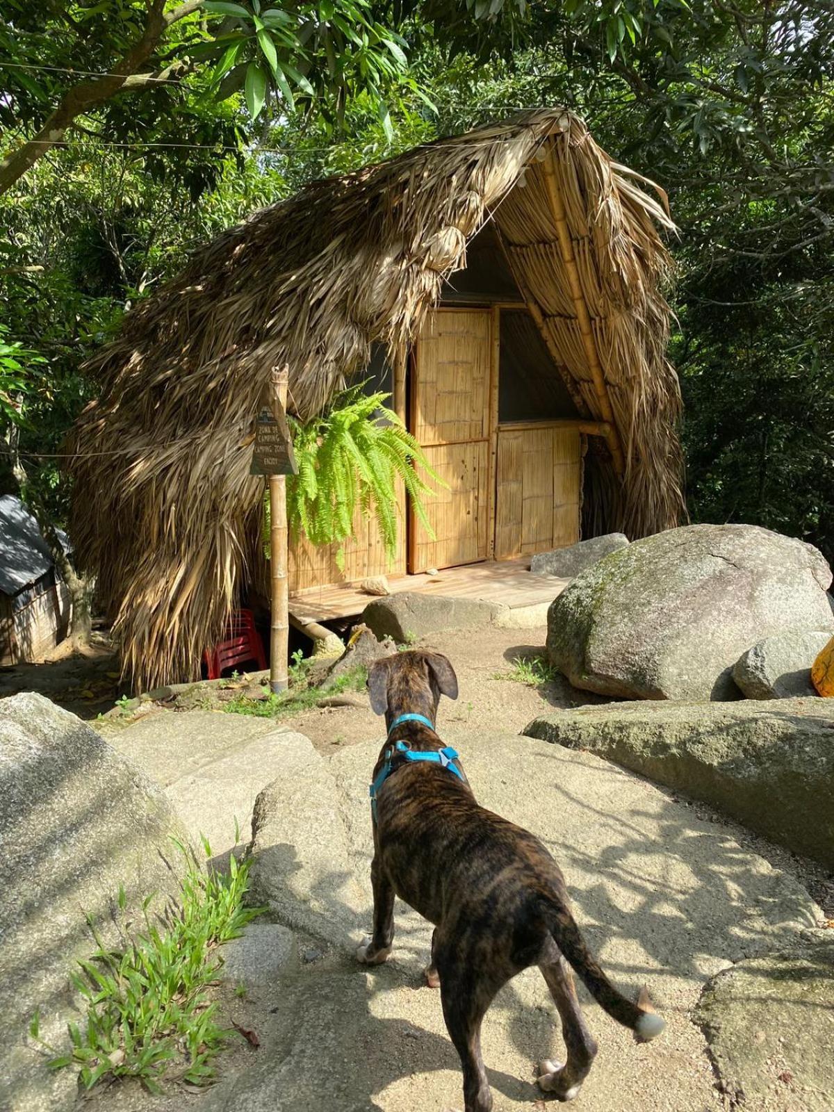 Dos Quebradas Lodge Santa Marta (Magdalena)
