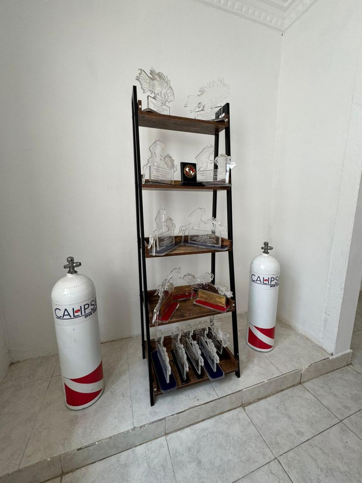 Calipso Dive And Pet Center Santa Marta (Magdalena)