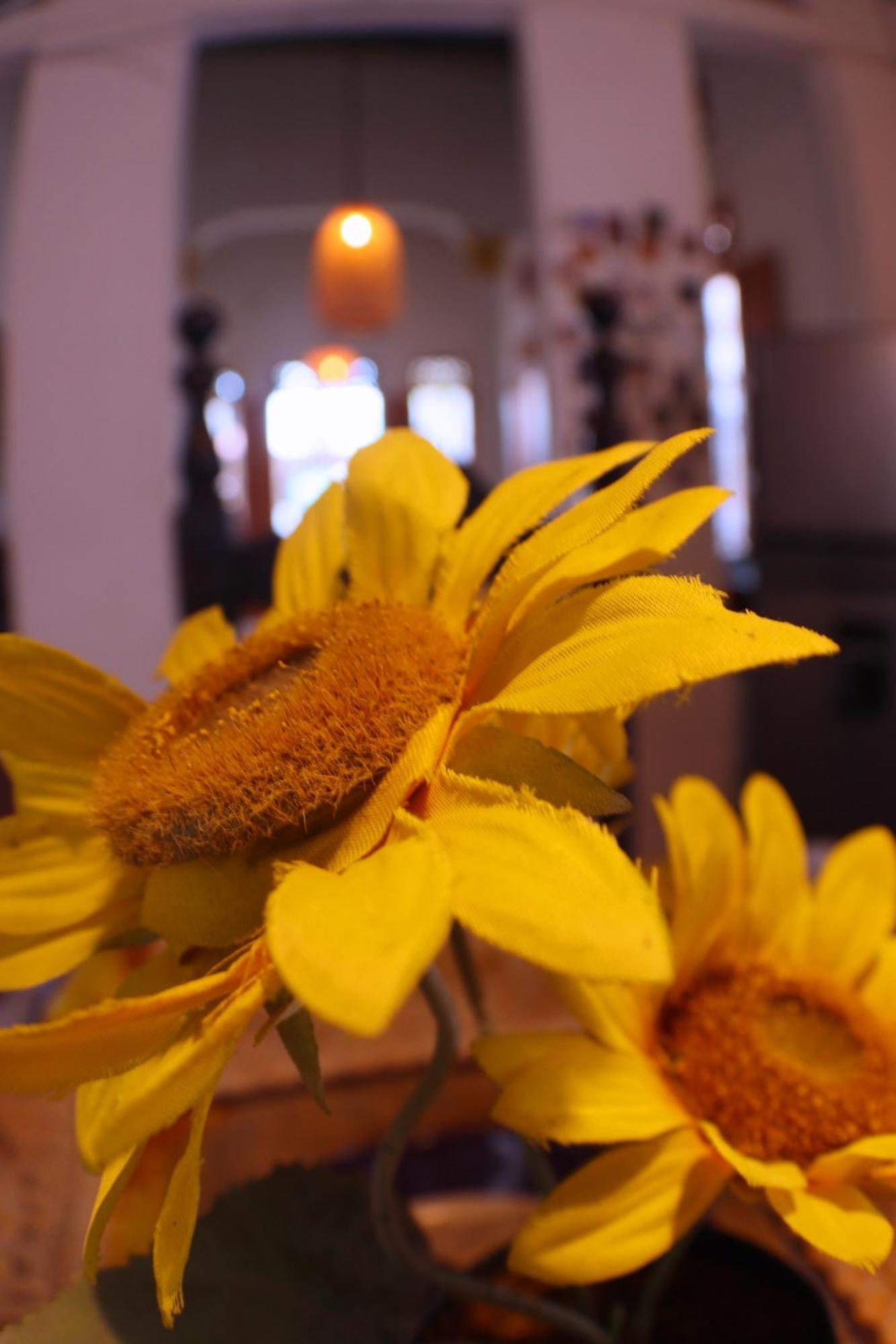 Historic House Centro Historico Guest house *