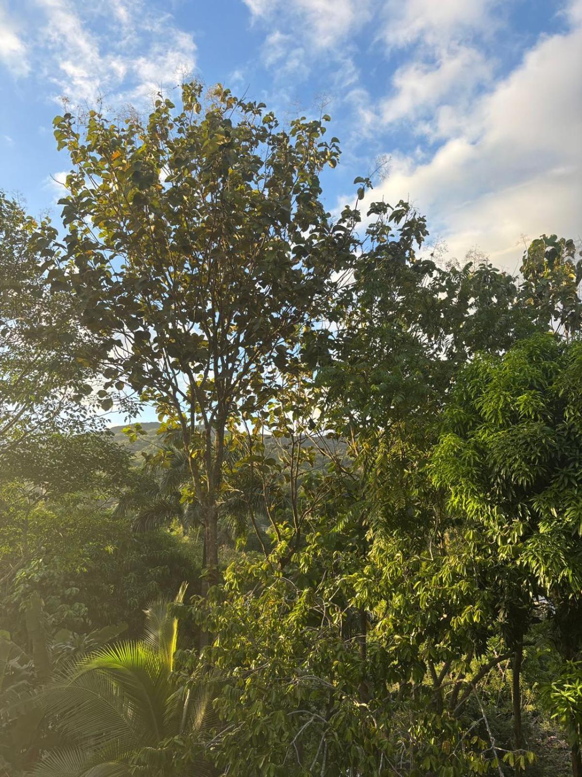 Tekas Lodge Santa Marta (Magdalena)