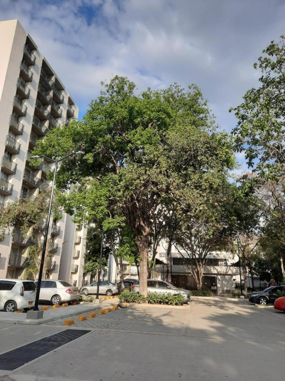 Apartment Acogedor En Horizonte