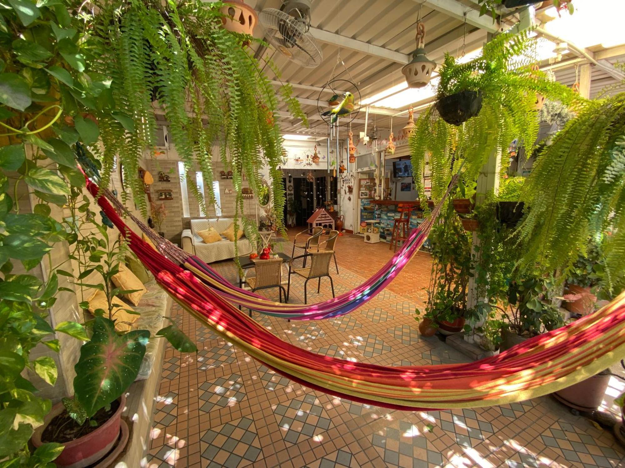 Casa Linda Homestay *