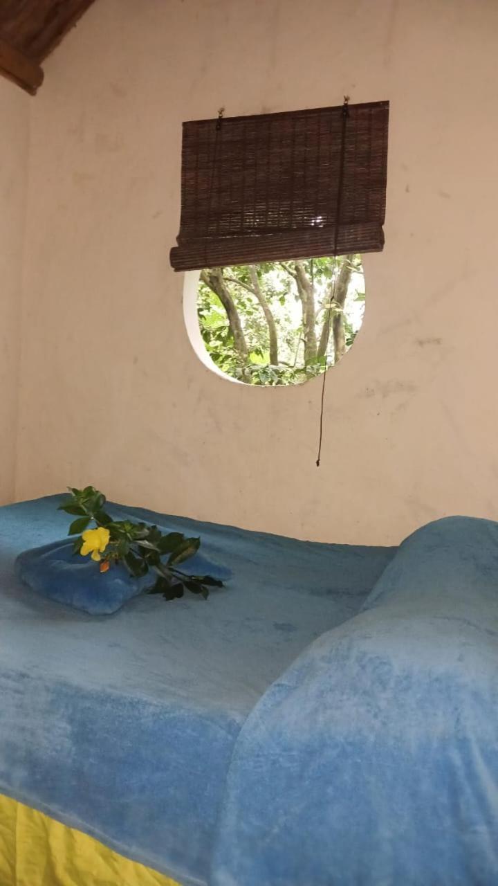 Campo de lujo La Cima Tayrona