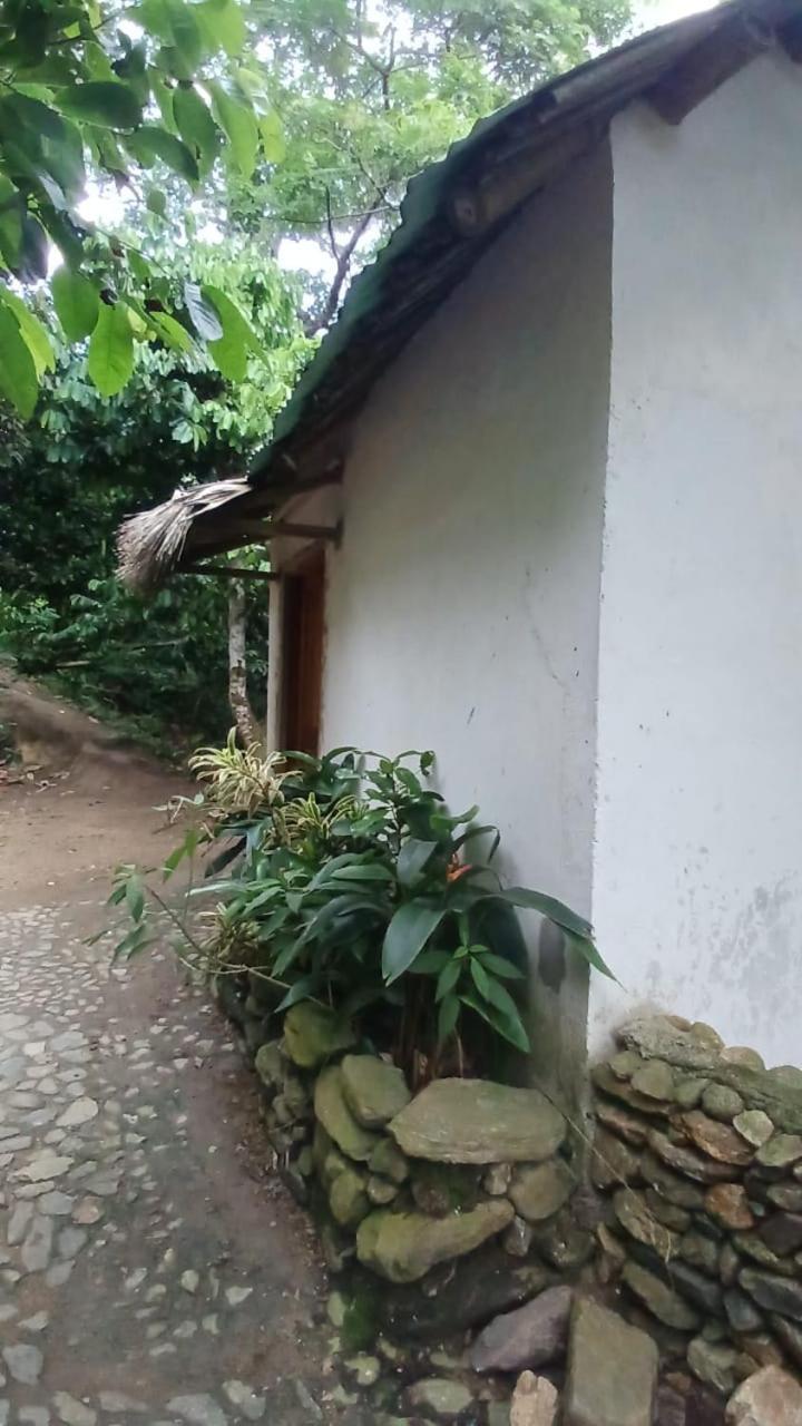 Campo de lujo La Cima Tayrona *
