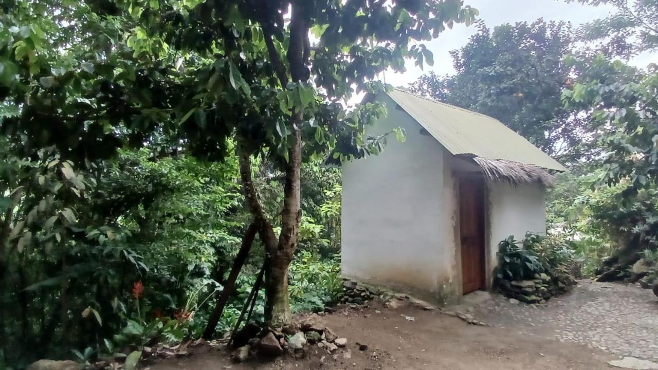 Campo de lujo La Cima Tayrona Santa Marta (Magdalena)