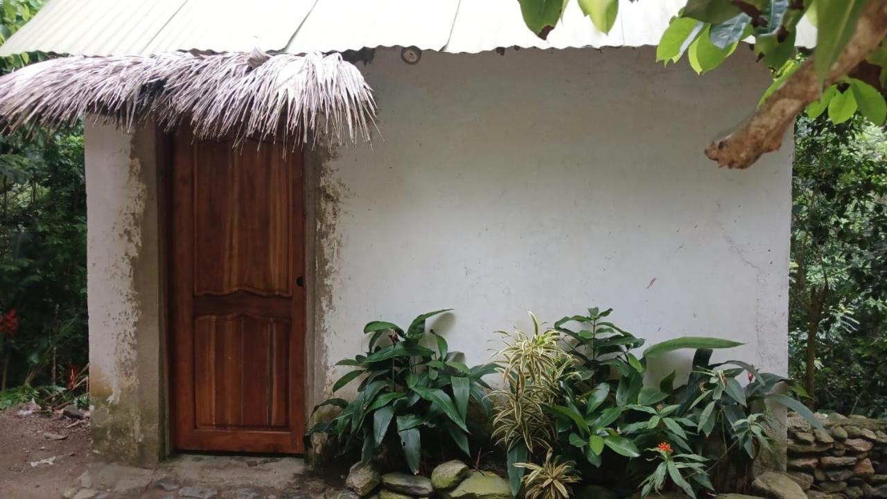 La Cima Tayrona * Santa Marta (Magdalena)