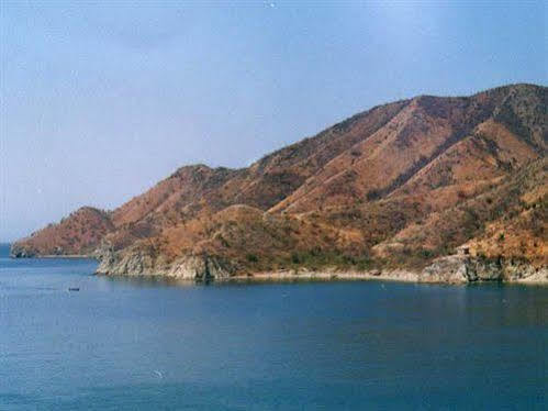 San Francisco De Asis 2*