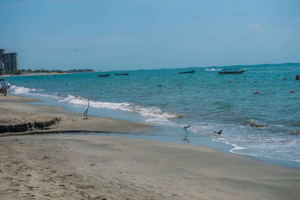 Acogedor Con Vista Al Mar En Zazue A 300 Metros De La Playa Bellohorizonte Apartamento *