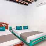 Bacano Lofts