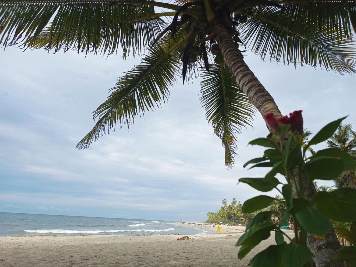 Guest house Cactus Beach Santa Marta (Magdalena)