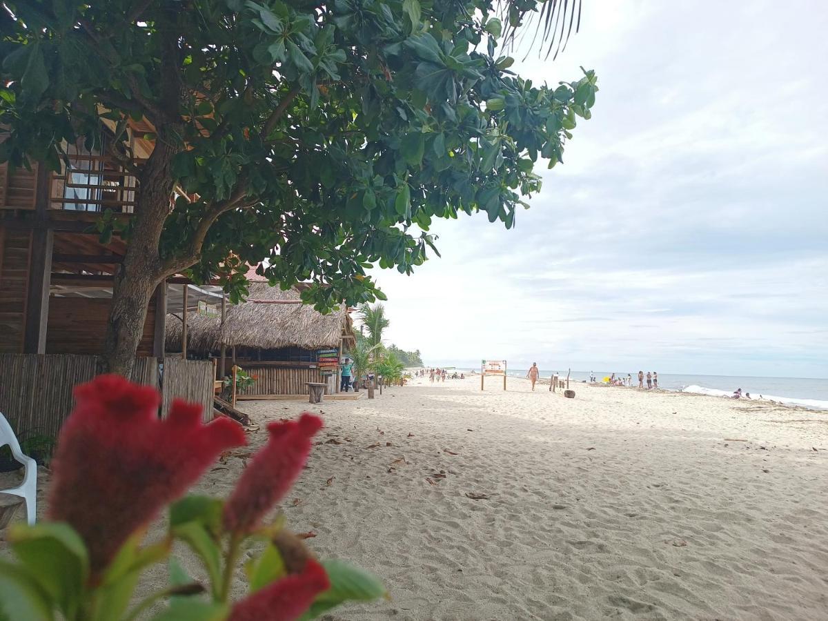 Guest house Cactus Beach *