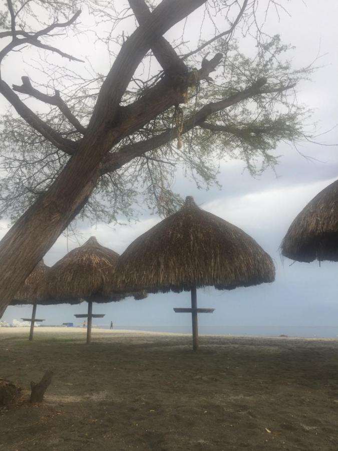 Areia Paradaise * Santa Marta (Magdalena)
