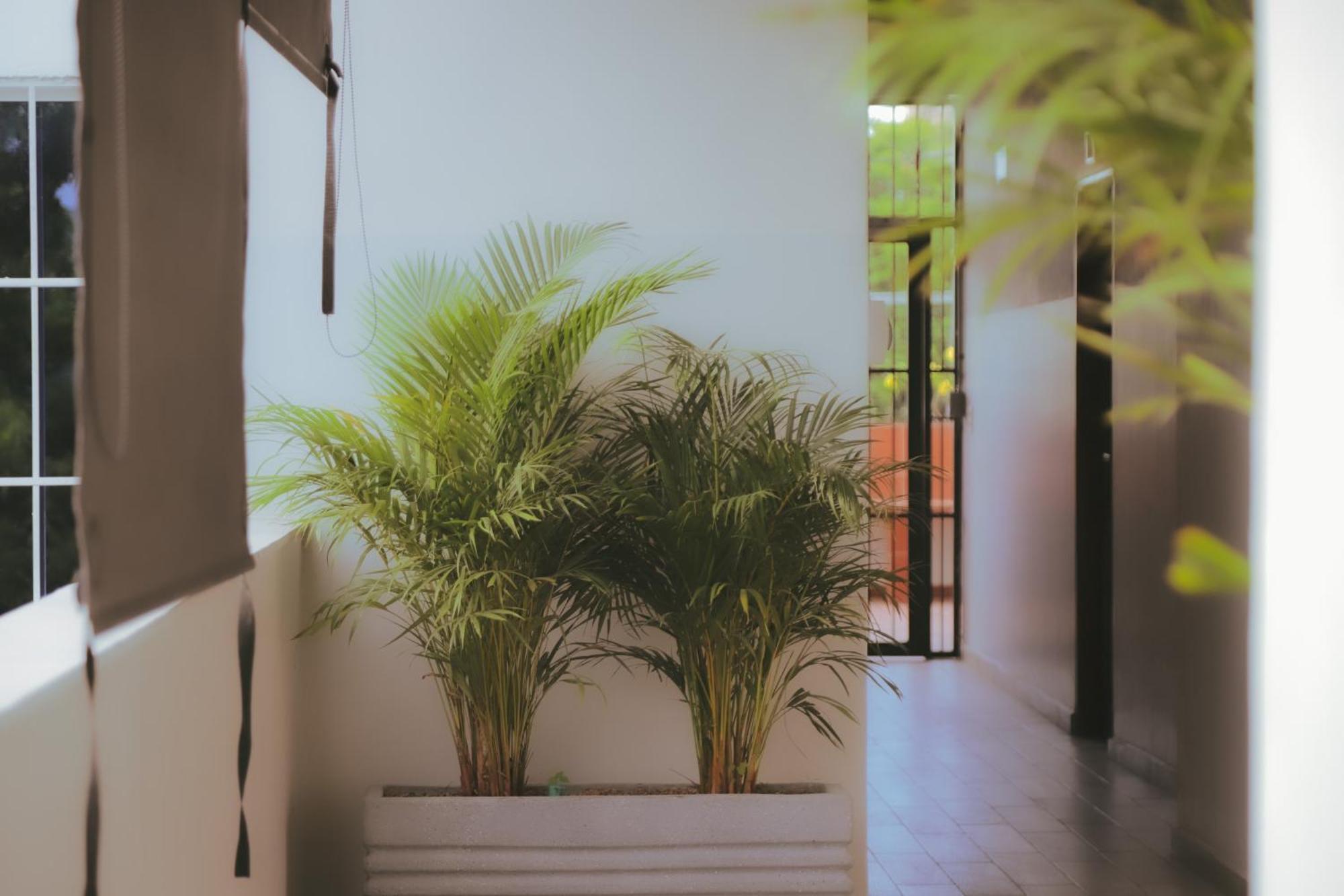 Casamar Hostal *