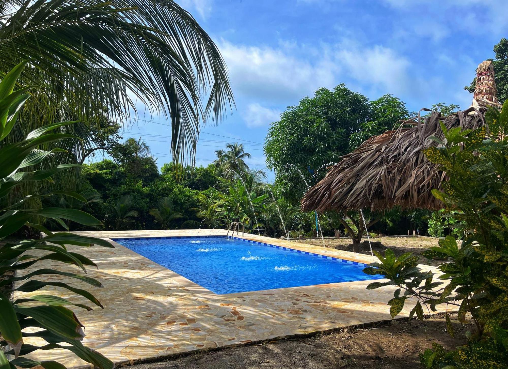 Tayrona Eco-finca Zelandia Y Lodge
