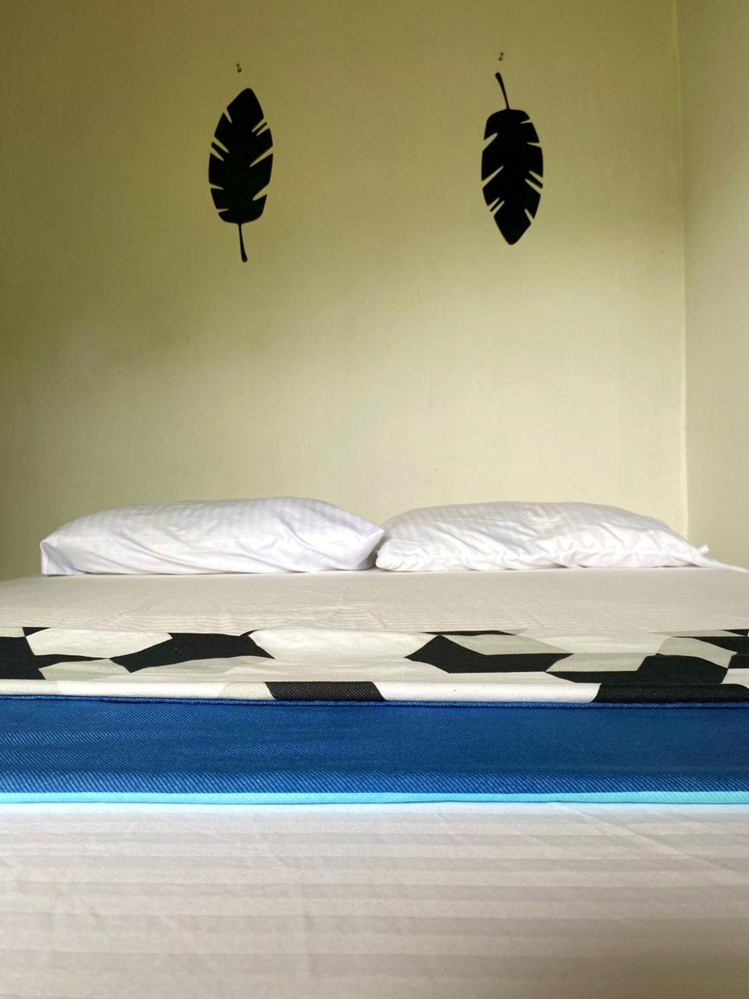 Lodge Tayrona Eco-finca Zelandia Y