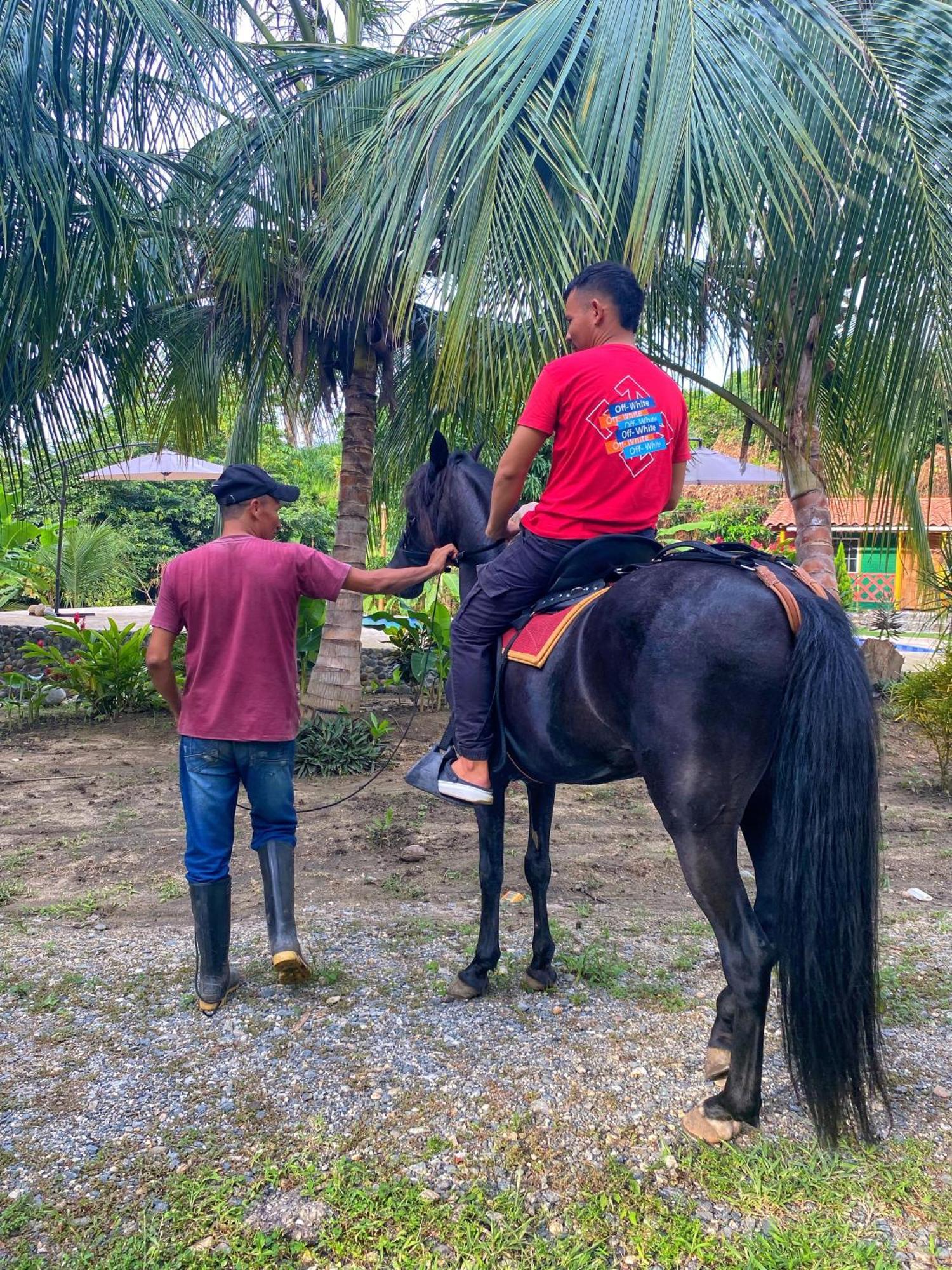 Tayrona Eco-finca Zelandia Y Lodge