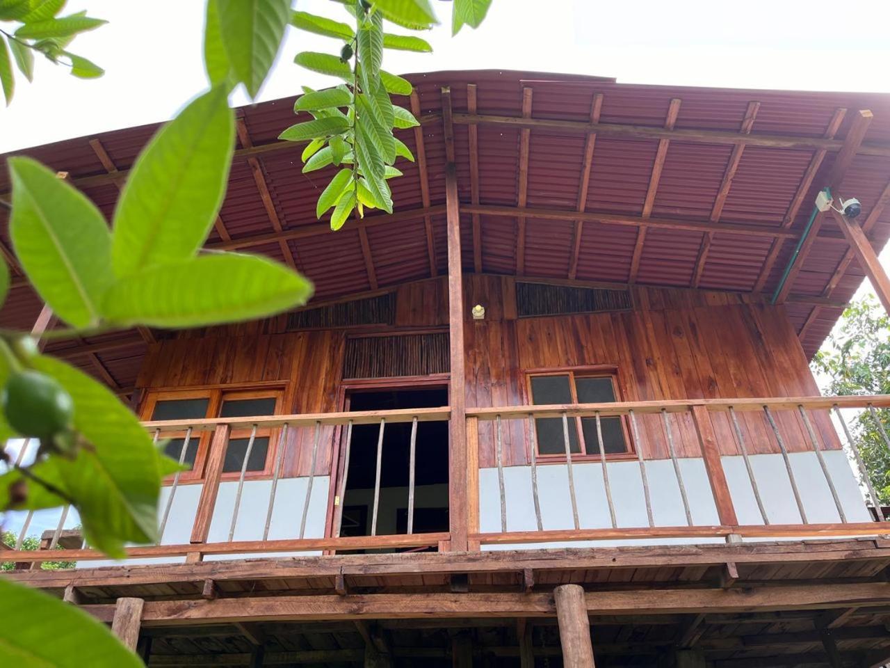 Tayrona Eco-finca Zelandia Y