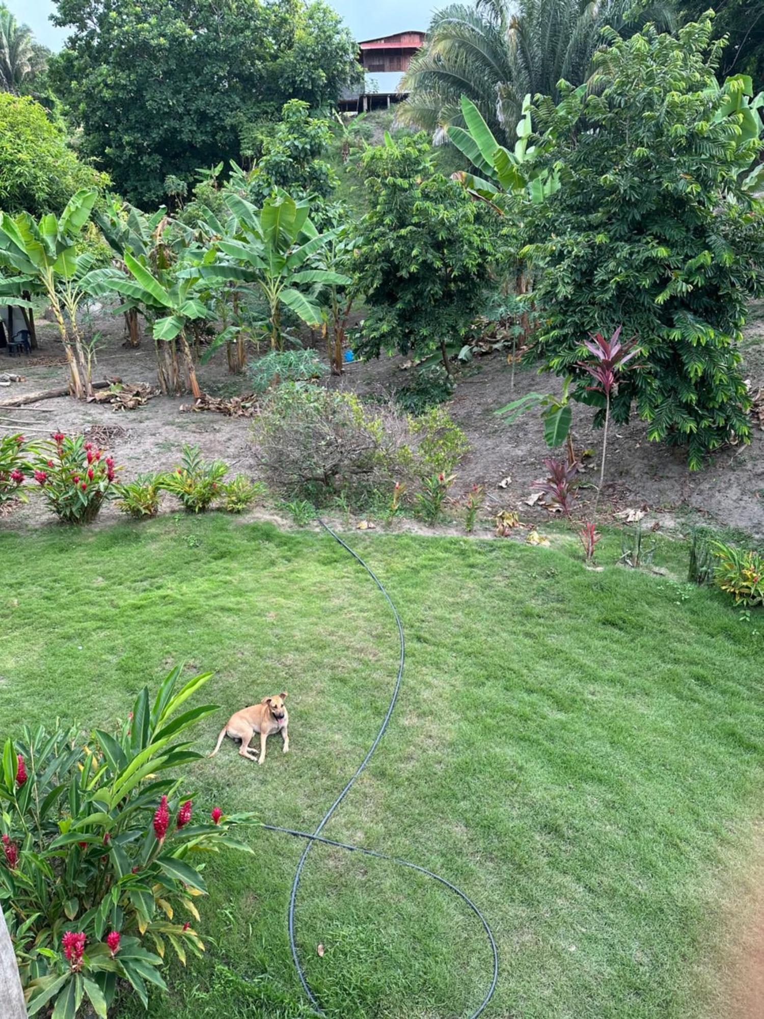 Tayrona Eco-finca Zelandia Y Santa Marta (Magdalena)