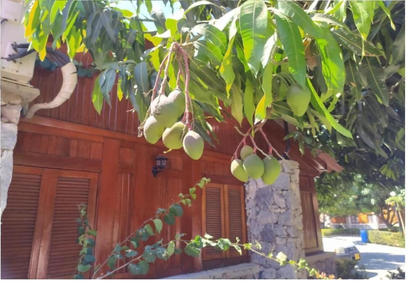 Completo Familias Campestre Privado Con Piscinas, Wifi, Ac Santa Marta (Magdalena)