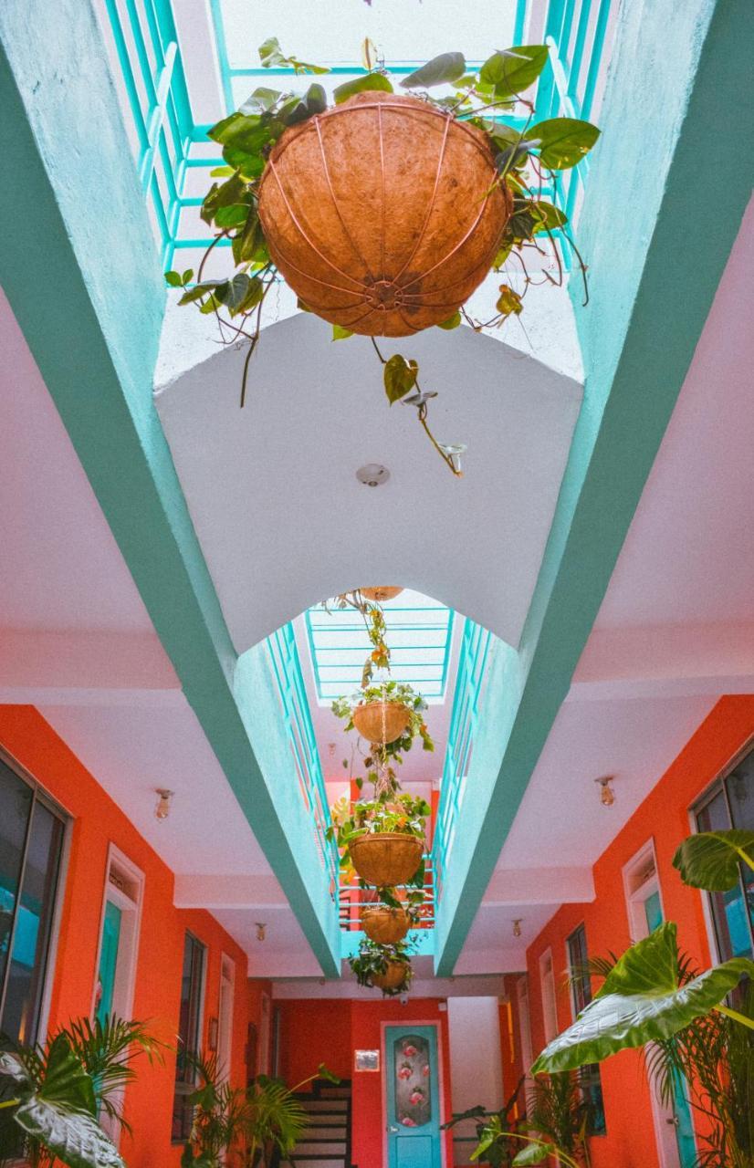 Flamingo & Coworking Hostel Santa Marta (Magdalena)