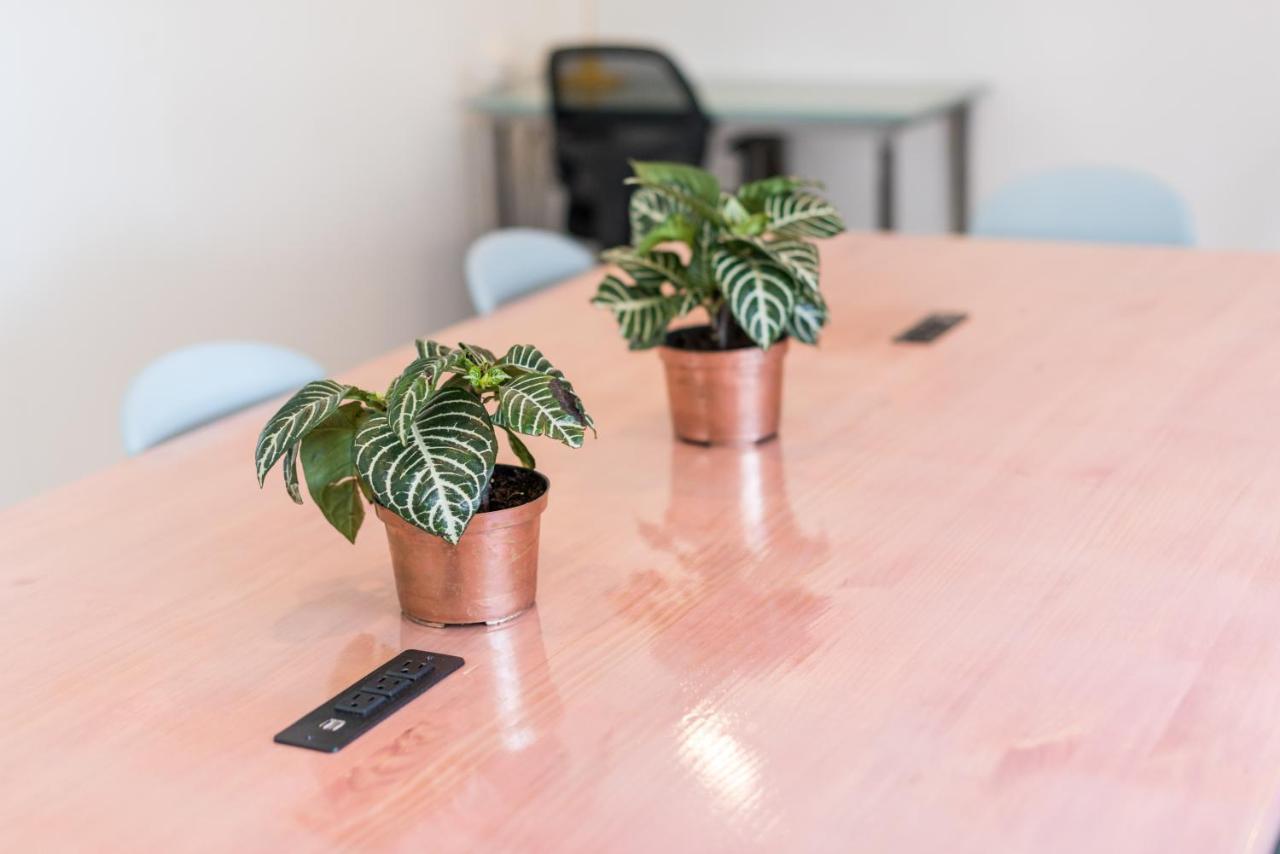 Flamingo & Coworking Hostel Santa Marta (Magdalena)